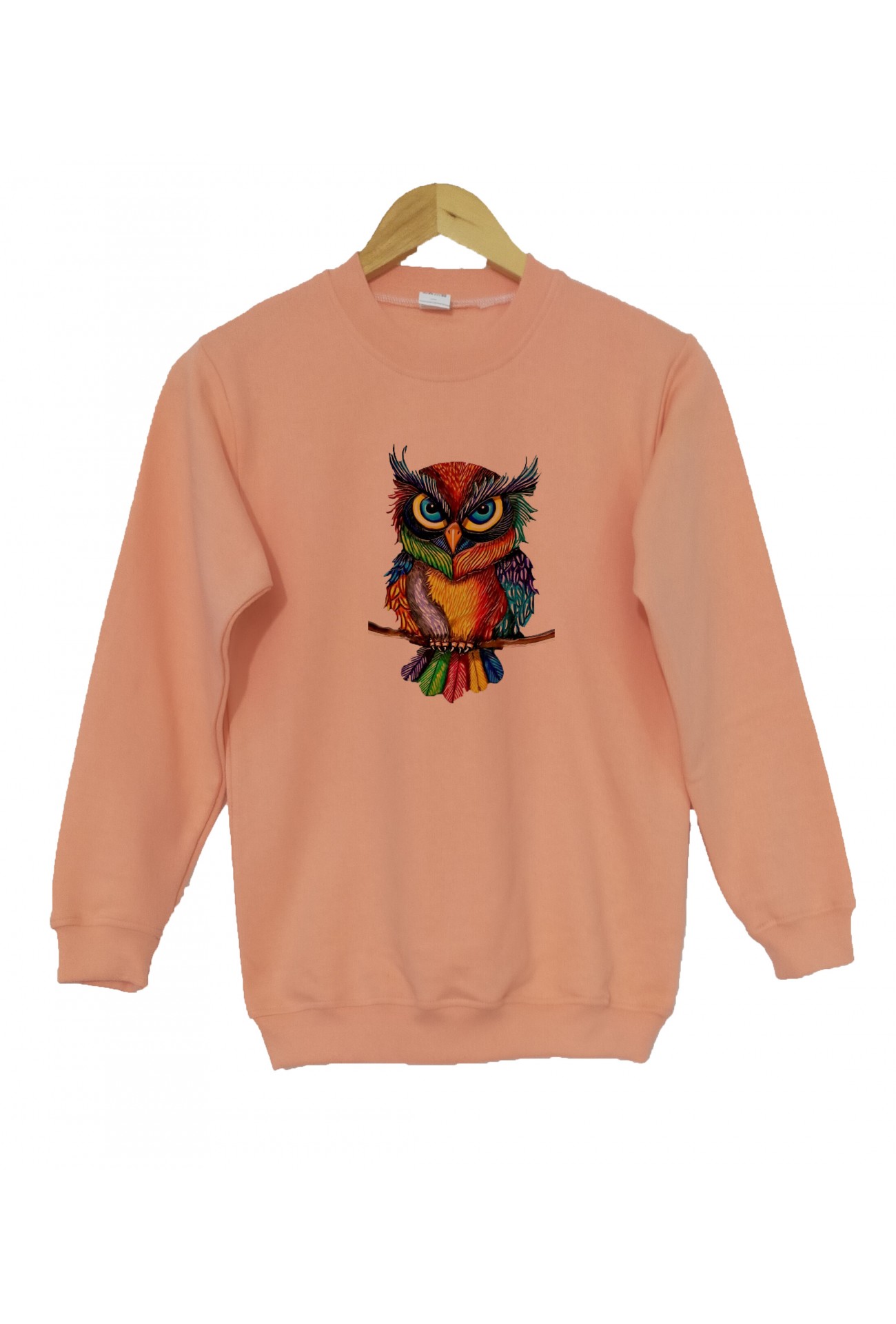 Raf Coll Kız Çocuk Pudra Pembe Bisiklet Yaka Sweatshirt Renkli Baykuş Dijital Baskılı Iki Iplik Içi Şardonlu